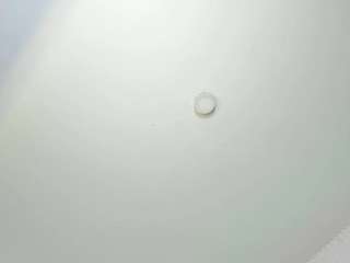 janneblossom live webcam show