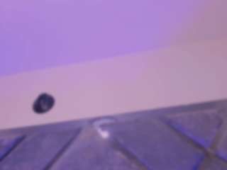 SweetSalome01 live webcam show