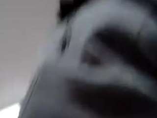 VibrantTerry