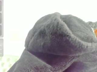 aaliyah-beller webcam