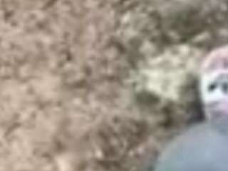 ant8822286666