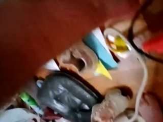 ant8822286666