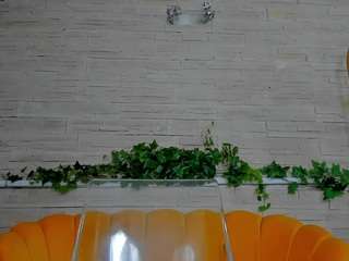 boobzillaa's CamSoda show and profile