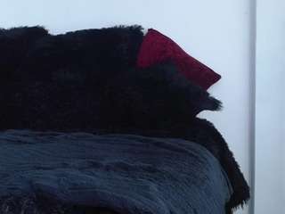 carolinepanky's CamSoda show and profile