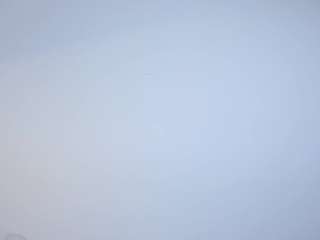 ashly-77 webcam model