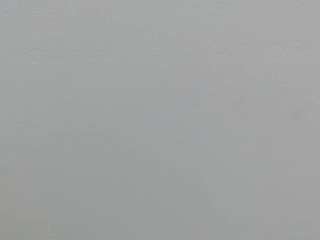 gatubelacute18 webcam