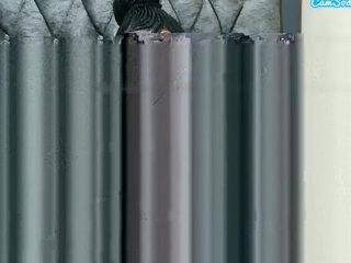 wildHeat
