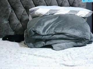 wildheat Live Webcam on CamSoda