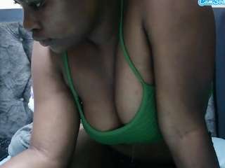 wildheat webcam