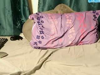 wildheat live webcam show