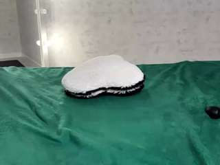 Annie live webcam show