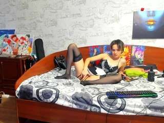 kagamitaiga2 webcam model