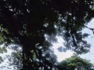 AliceMrtnz
