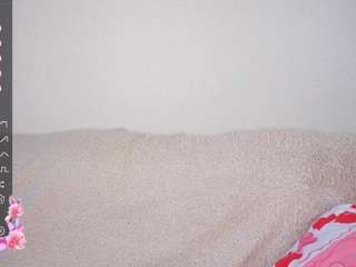 mablecochenour webcam