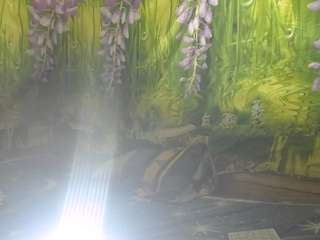 mysweetsofie-liam webcam