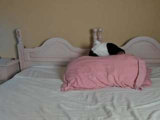 suzysuz webcam