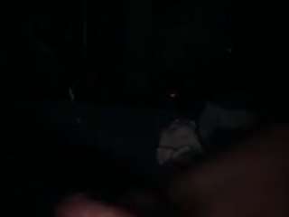 Wildinjay live cam preview