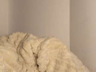 foxiekiss Live Webcam on CamSoda