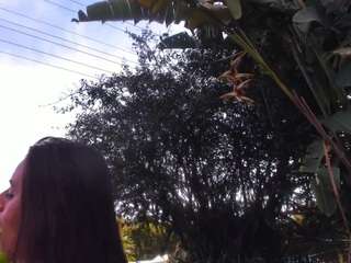 lunaluxeee