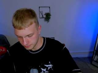 stiles-gray webcam model
