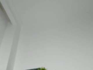 Live stream of lennalalone