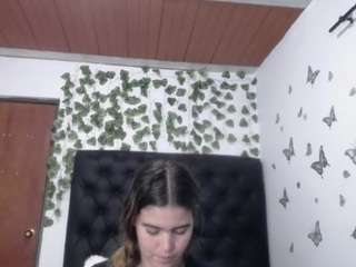 isa06 webcam