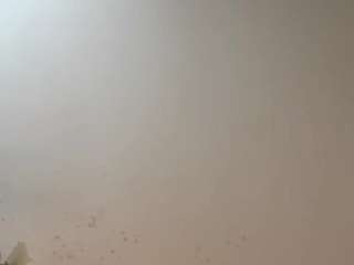 krishagin webcam
