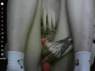 olabormet webcam