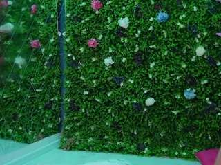 babynyco - Live HD Webcam