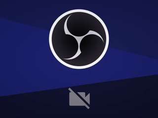 dolcepicantedr webcam