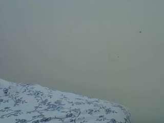 siennalure webcam
