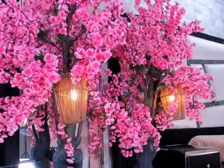 tessacooper Live Webcam on CamSoda