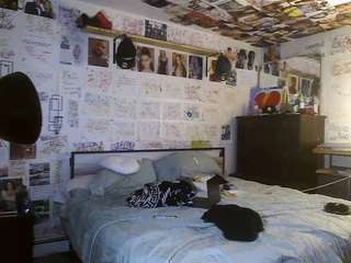 bigdikkpapii777 live cam profile