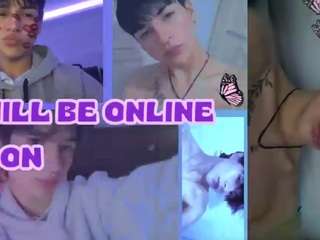 aleaurarashi live cam profile