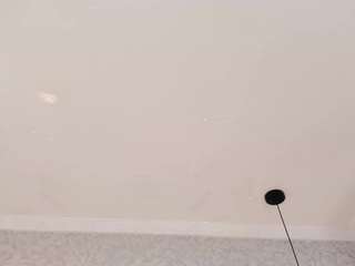 skailyn-angels Live Webcam on CamSoda