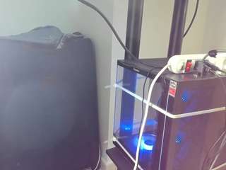 dakotastream