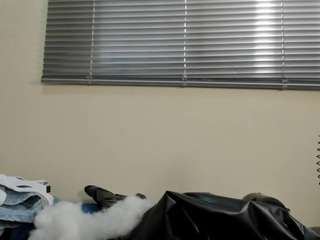 dakotastream live cam preview