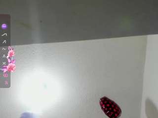 hanna-wish webcam model