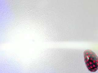 hanna-wish Live Webcam on CamSoda