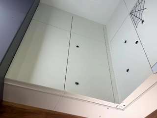 Eugenearlotta's cam show statistics and live stream