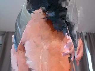 Dit model is nu live. marandareimmer