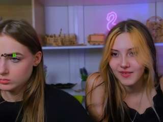 aria-moo webcam