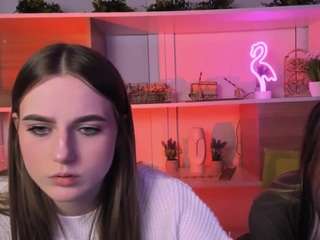 aria-moo webcam