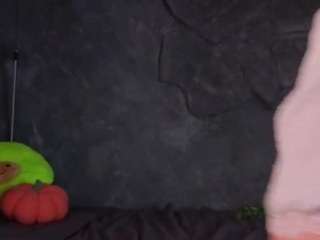 marylandmodic webcam