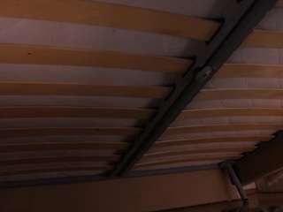 tempiegriffel webcam