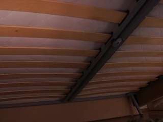 tempiegriffel webcam