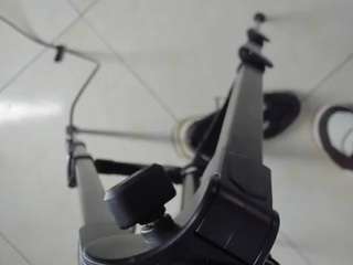 alishaevans24 Modèle Webcam Profil