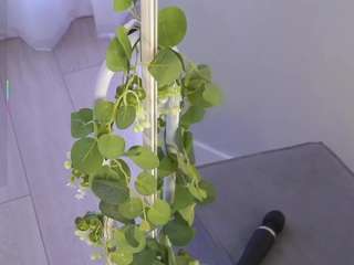 lime-vine