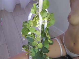 lime-vine