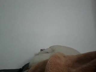 cocolefeme